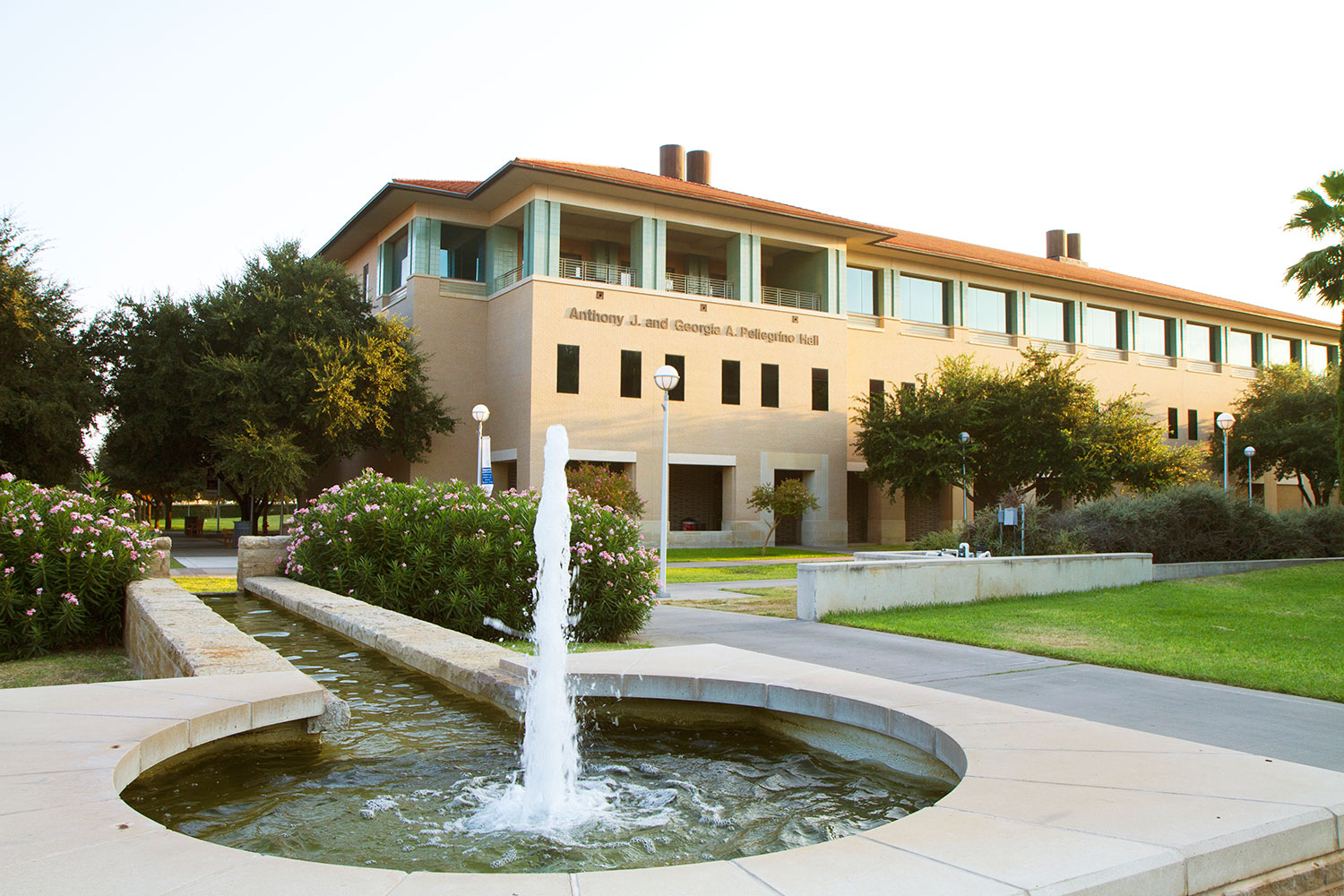 TCBEED - Texas Center for Border Economic and Enterprise Development