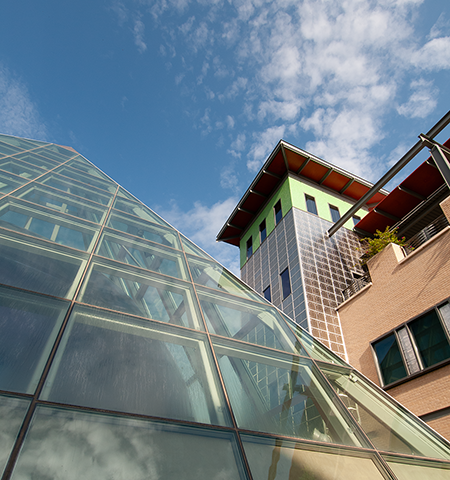 Image of TAMIU hall way